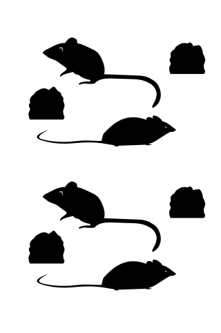 STU00106 Mice and Holes